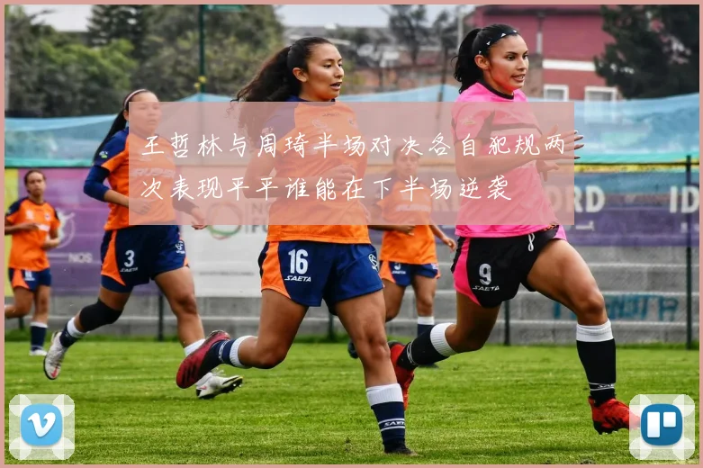 王哲林与周琦半场对决各自犯规两次表现平平谁能在下半场逆袭