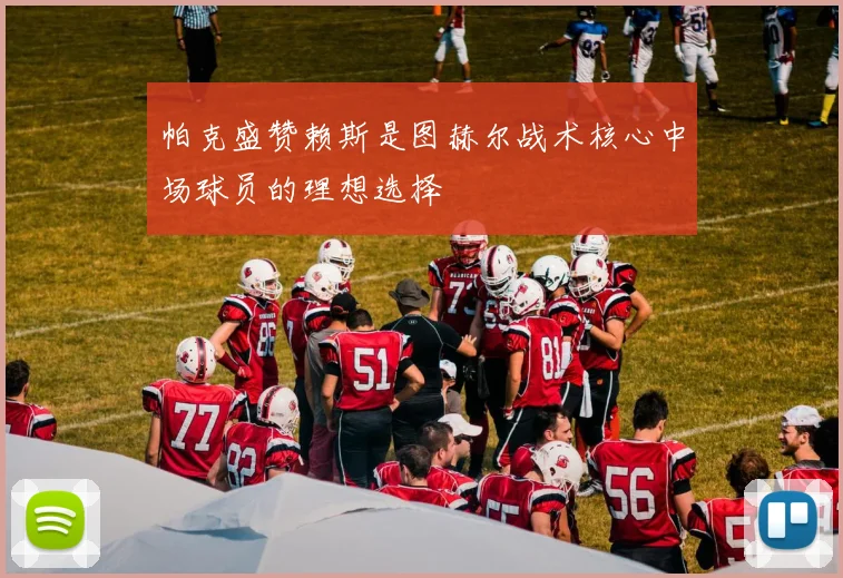 帕克盛赞赖斯是图赫尔战术核心中场球员的理想选择